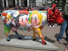 Vacas en San Jose